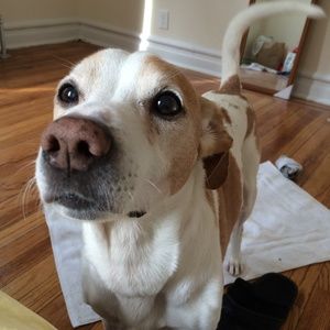 Meet your Posher, Jacqueline